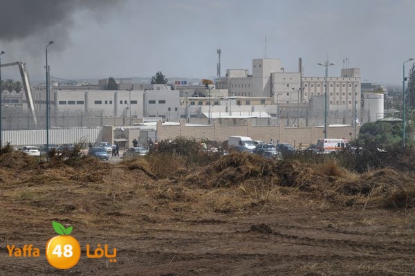 fireramlasejn4288 (23).JPG